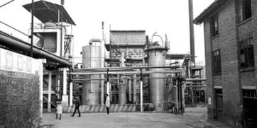 从化肥厂到文艺小镇 三年内打造4A景区的互联网服务新篇章