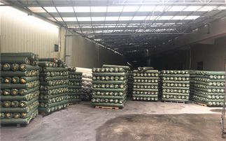 格利特新风尚 创坤金葱粉皮革联营百家革厂，点亮文艺创作之路